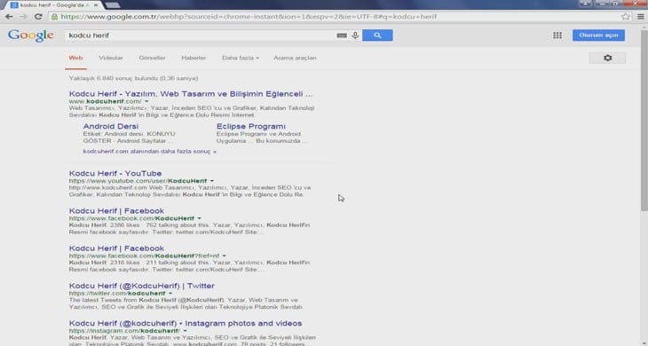 İnceleme Bilgi: Google Araması ve Alt Bağlantılar