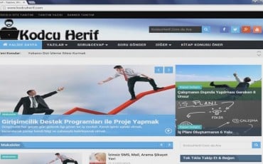İnceleme Bilgi: Web Sitesi Renk ve Sayfa Düzeni